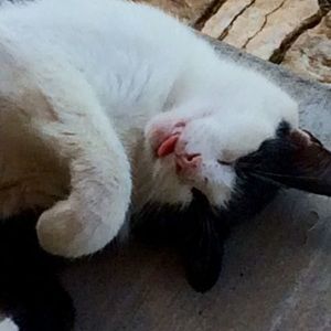 Meet your Posher, Beth